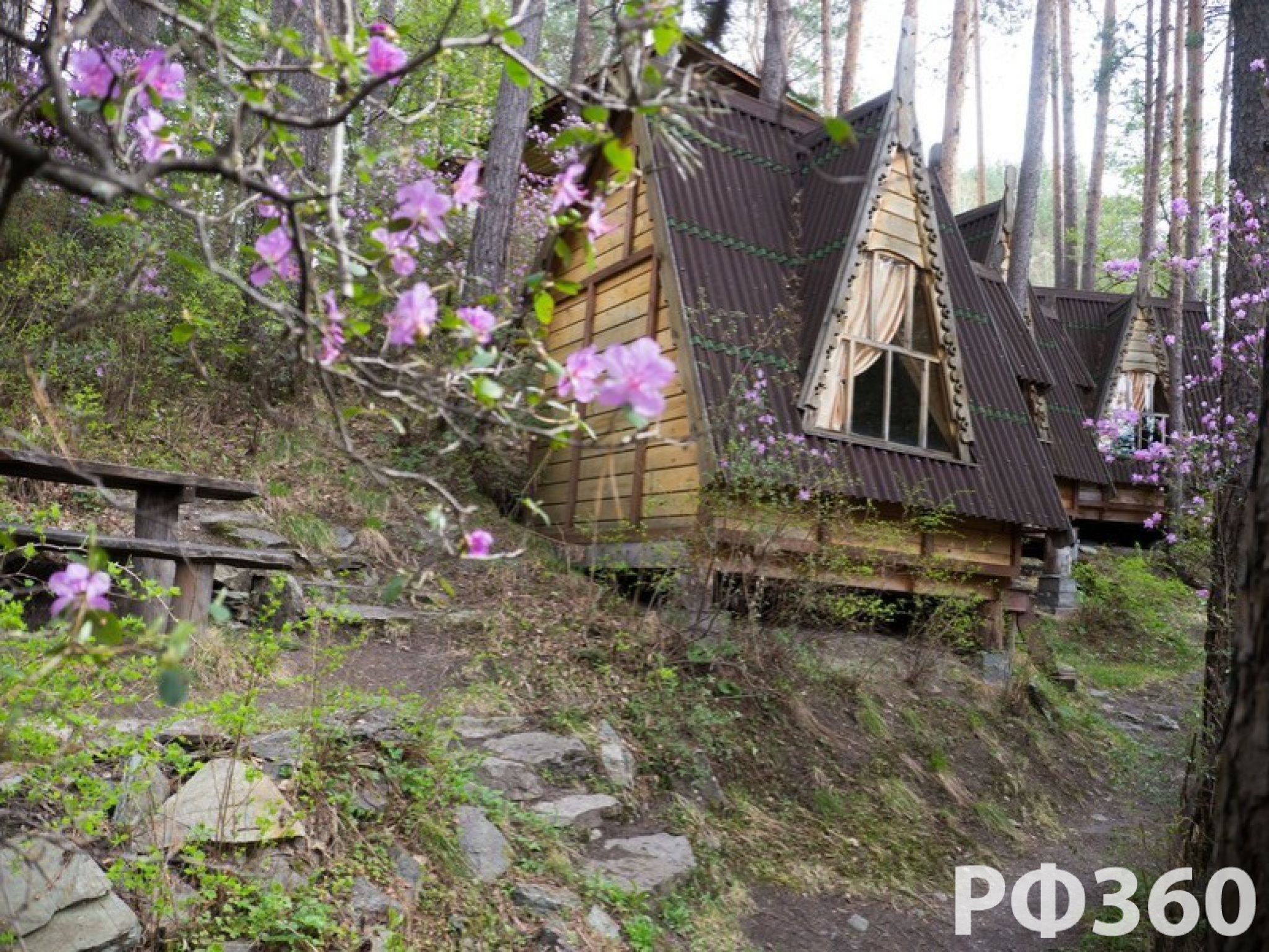 Август база отдыха алтай. Алтай Стар. Алтай Стар база. Старые фото Алтая. Турбаза звезда Североуральск.