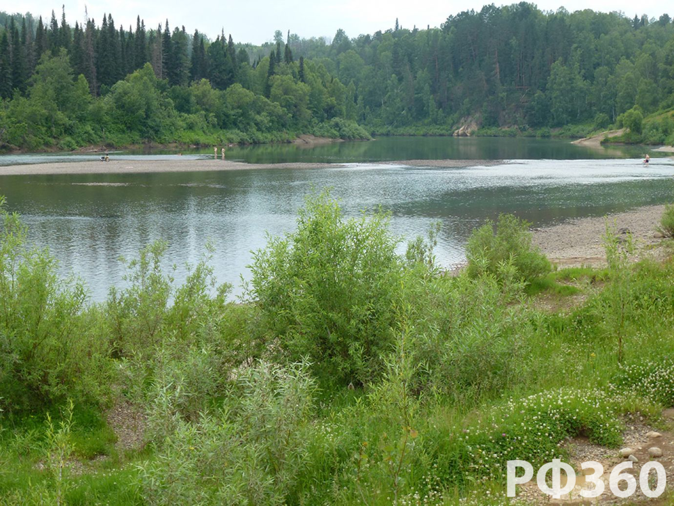 Усадьба МЕДВЕЖЬЯ БЕРЛОГА Турочак Турбаза Горный Алтай Телецкое официальный  сайт